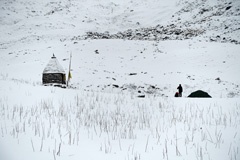 DSC00448a